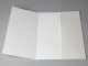 Conqueror - papier Calque Impression avec Dorure Or - Recto/Verso