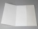 Conqueror - papier Calque Impression avec Dorure Or - Recto/Verso