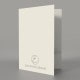 papier blanc satiné 350g  - Impression Dorure Argent - Recto/Verso