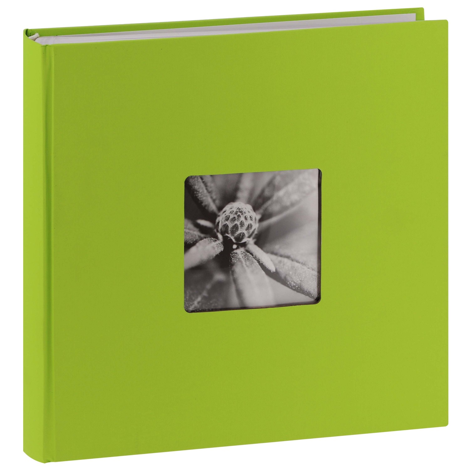 Album photo Jumbo Fine Art, 30 x 30 cm, 100 pages blanches, noir