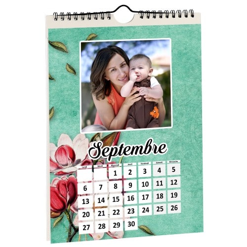 Support calendrier MITSUBISHI Mural (pour Imprimante recto-verso CP-W5000DW) - 20x30cm