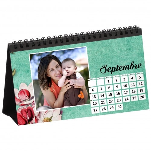 MITSUBISHI - Support calendrier de bureau (pour imprimante recto-verso CP-W5000DW) - 20x10cm