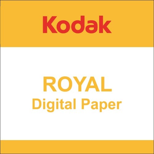 Digital ROYAL Brillant - marqué au dos - 10,2cm x 156m - Carton de 4 rouleaux