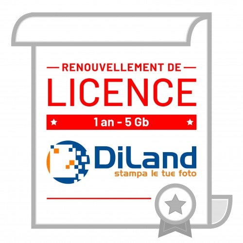 Licence web renouvellement 1 an - 5Gb - pour licence Diland web (DILANDWEB) - Livré sous forme de code d'installation (Windows)