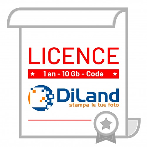 Licence web (1an) - 10Gb - Pour utilisation avec logiciel Diland Studio (KDLBS ou KDLS) - Livré sous forme de code d'installation (Windows)