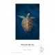 FineArt Baryta - 325g - 36" (91,4cm x 12m)