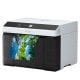 Epson D1000 - Achat Imprimante Surelab SL-D1000