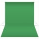 Fond studio photo COLORAMA 2m72 x 11m - Chromagreen 33