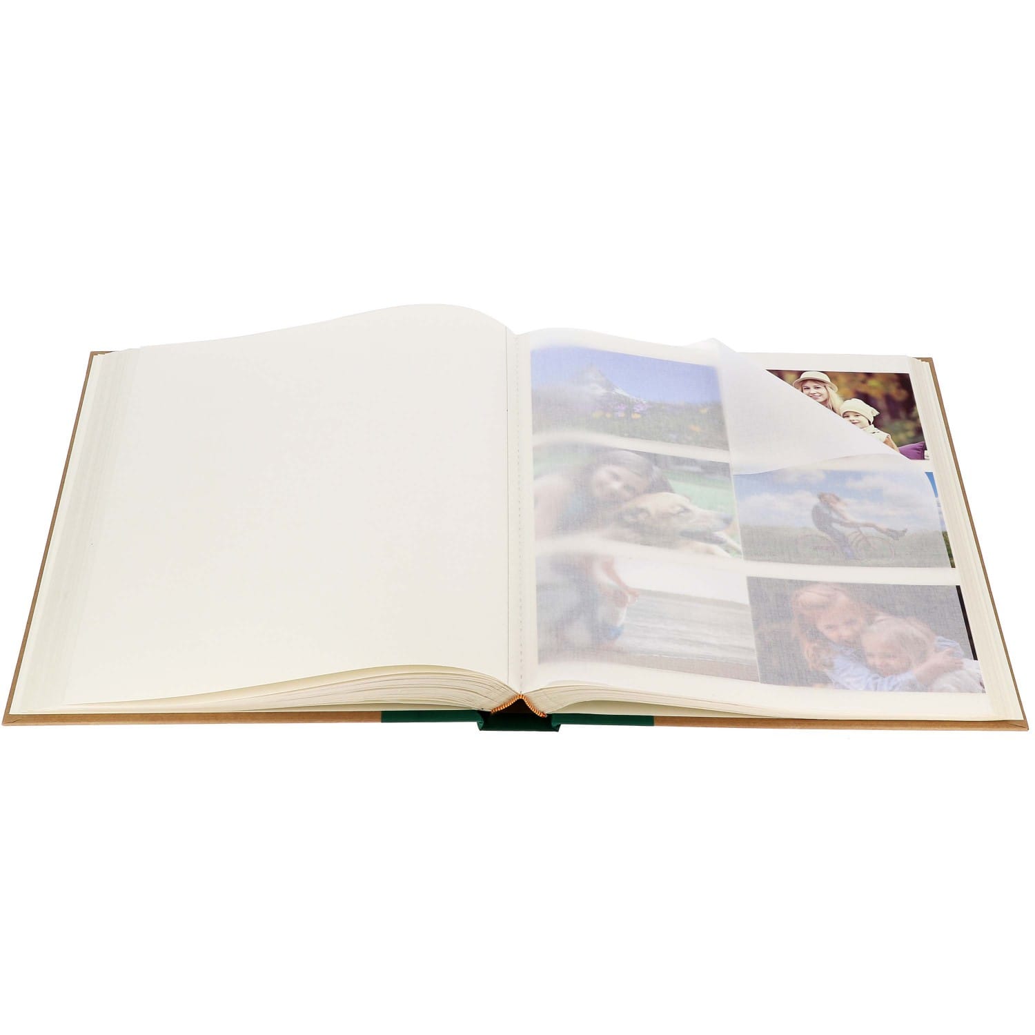 Album photo PANODIA traditionnel GREENEARTH KOALA - 100 pages