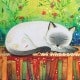 Panodia Artist Album 60P 120V Cat