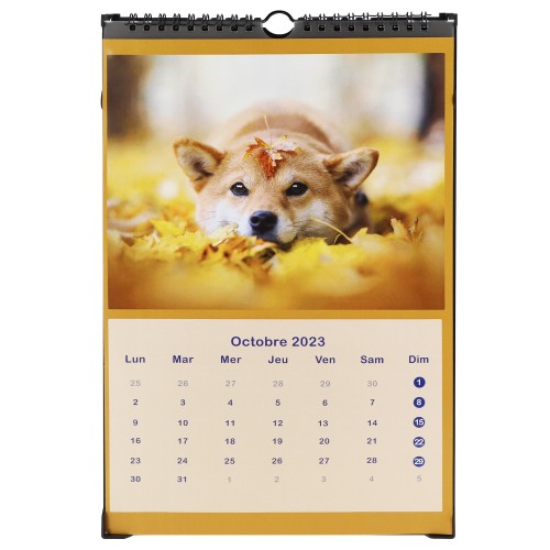 Calendrier mural peel & stick 20x30 13ph