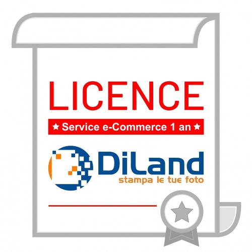 Service e-commerce Diland XWEB-RIN0 1 an MB TECH