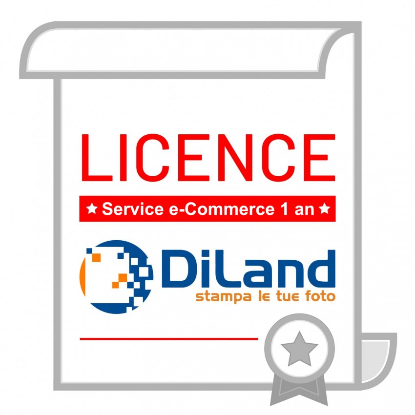 Service e-commerce Diland XWEB-RIN0 1 an MB TECH