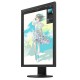 EIZO Ecran Creator Edition 24" CS2400R-BK