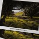 Canson Infinity Papier Edition Etching Rag II 310g 24" x 12m *