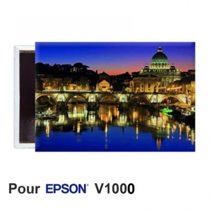 GAMAX - Magnet 78x53mm- pour Epson V1000  - Lot de 100